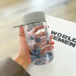 Portable Leakproof 450ml Plastic Water Bottle with Tea Infuser - Ideal for Students and Summer Drinks (Grey)