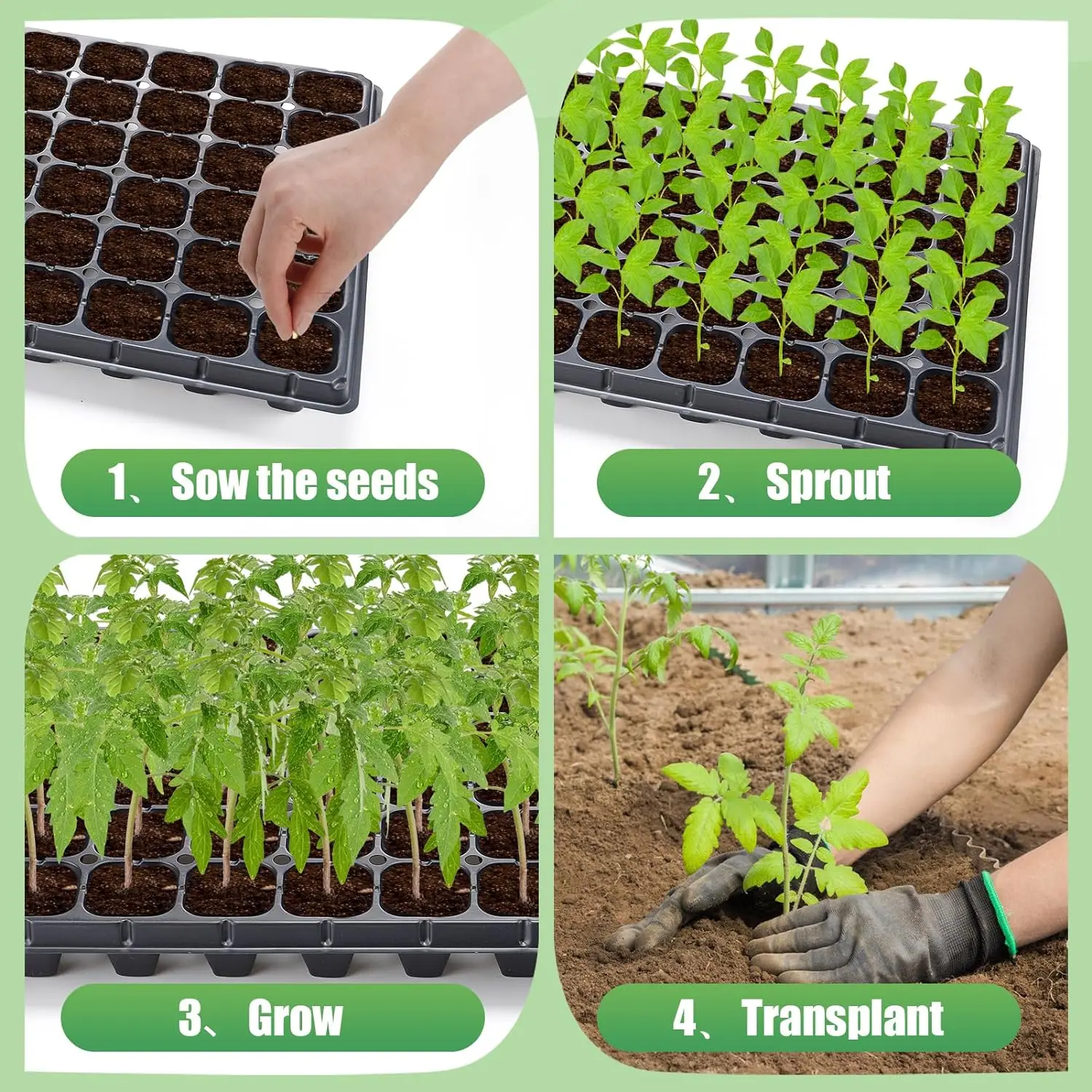 5Pcs 72Cell Seed Starter Tray Growing Starting Gardening Germination Tray with Drain Holes for Plant Seeds Propagation