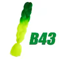 B43