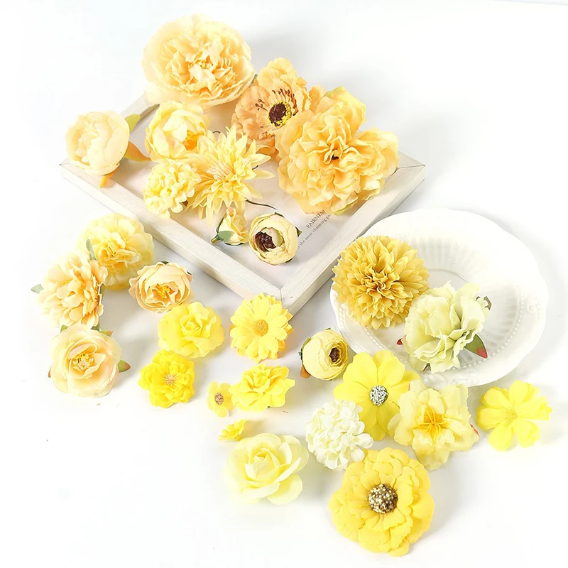 dsc-products