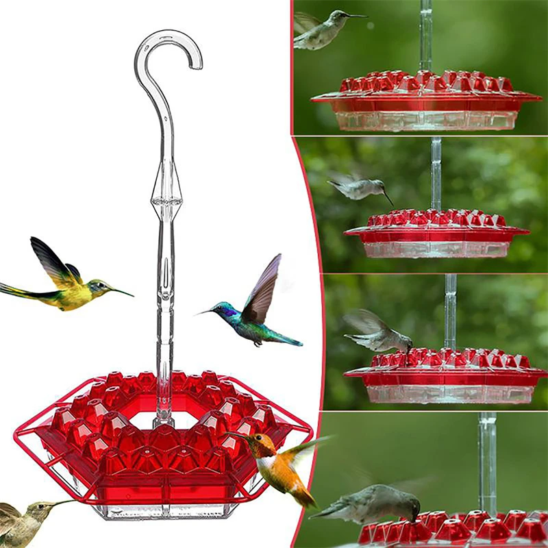 Pet Bird Feeder Pet Food Dispenser Hummingbird Feeding Outdoor Hanging