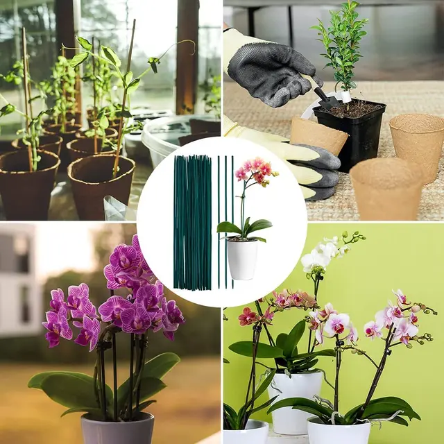 30 Százalékos Orchidea Tartó Rúd Bambuszzöld Botok Támogatás Növényekhez Virágpálcák Növényi Botja A Hegymászó Növények Támogatásához - Image 4