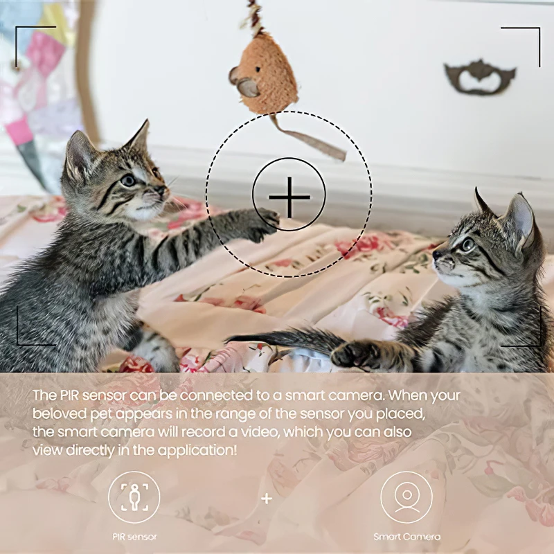 Slide image 3e5edec3b0654d33b986d454936fd9f3