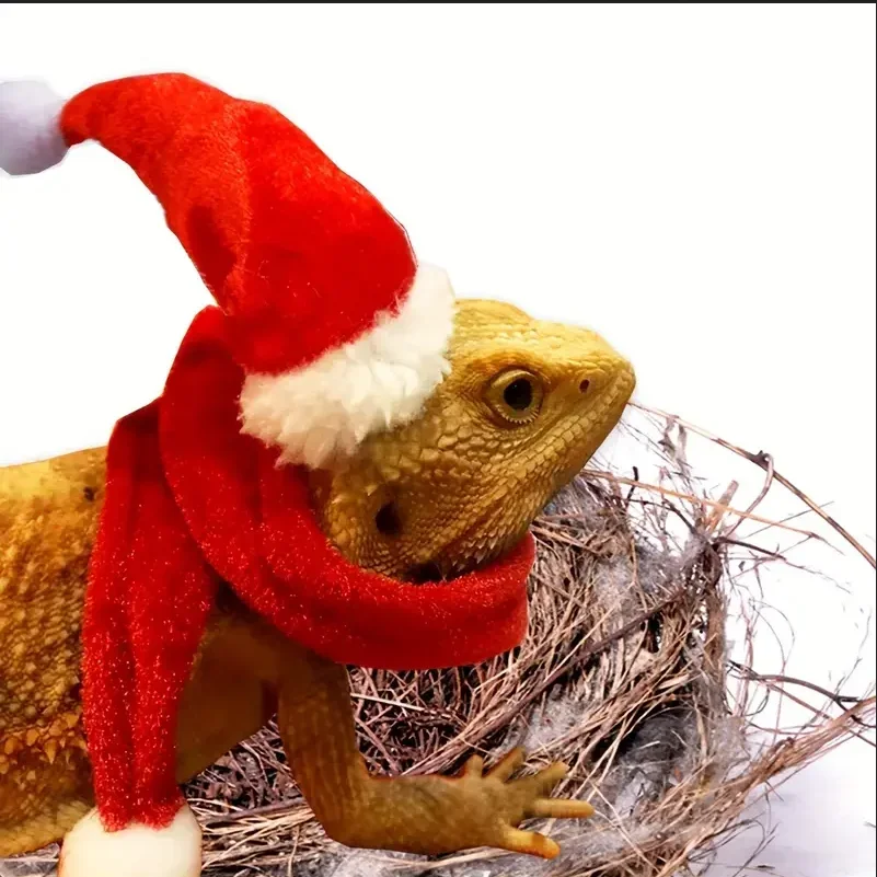 2pcs Lizard Christmas Hat And Scarf Set