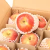 5 Pack Carton Partitions Boxes of Glass Glasses Dish Packing Divider Paper Apartment Moving Kit 4
