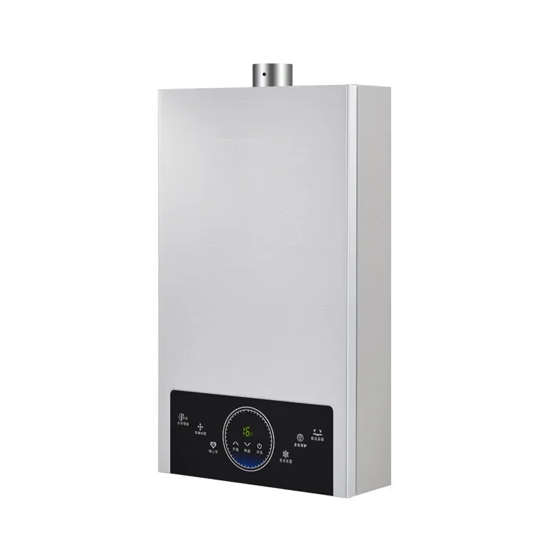 Storage Instant Tankless Strong Flue Exhaust Bathroom Shower Whole House Tankless Gas Shower Water Heater