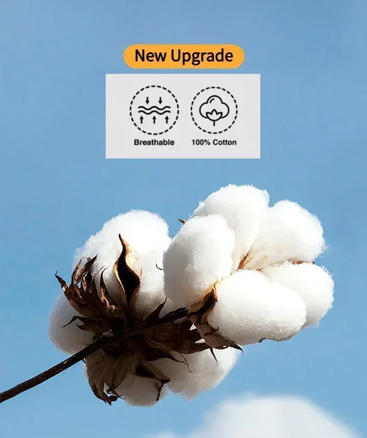 S74eeb2654839466f82fe7c134f998fddh - Dragon Ball Store