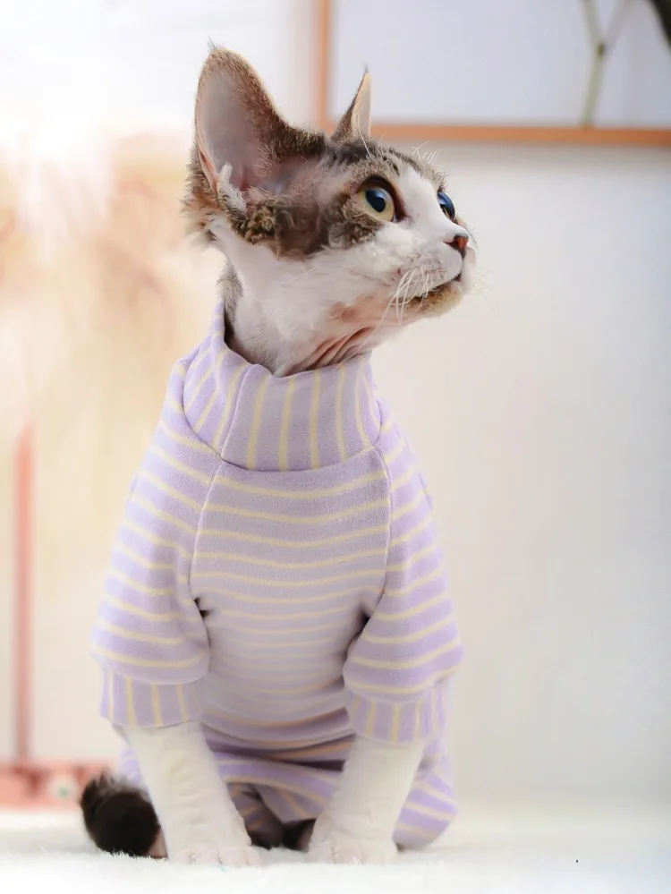 kitten winter clothes