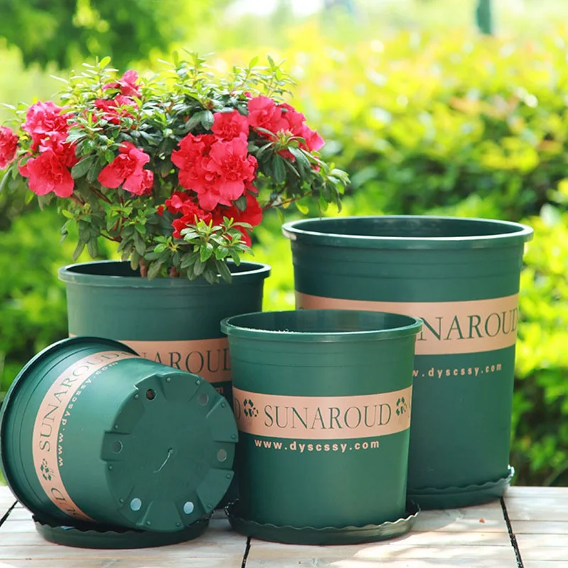 Decorative Artificial Succulent Collection in Stylish Plastic Flower Pots