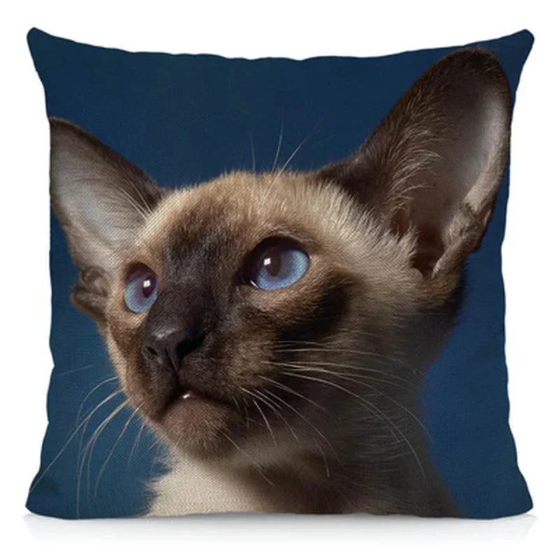 Cute Pet Cat Pattern Cushion Cover Living Room Bedroom Sofa Car Furniture Decorative Pillow Cover 45*45cm