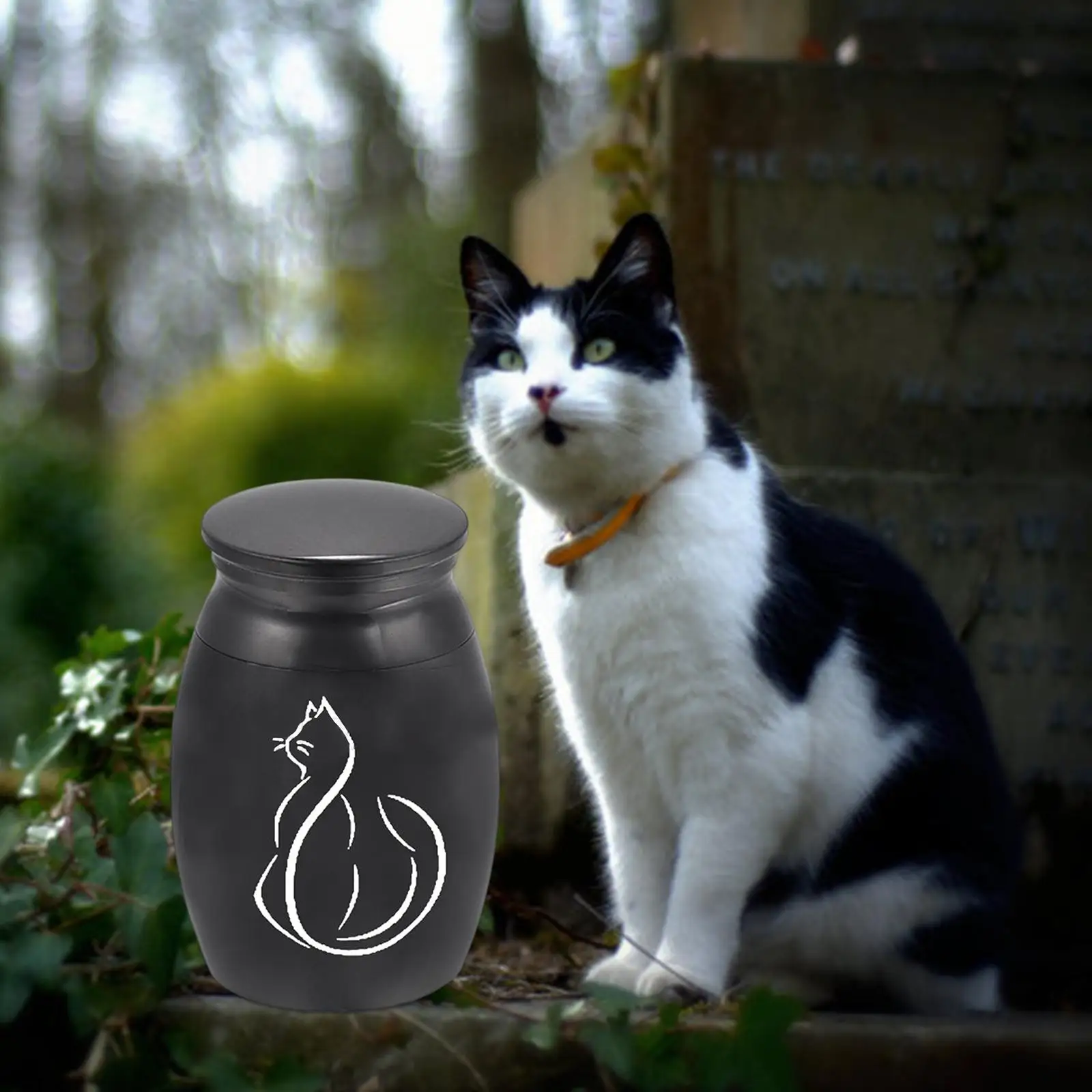 Pet Ash Urn Pet Supplies Funeral Cremation Memorial Urns Stainless Steel Urn for Funerary Caskets Supplies Dog Remembrance Pet Ash Urn Pet Supplies Funeral Cremation Memorial Urns Stainless Steel Urn for Funerary Caskets Supplies Dog Remembrance