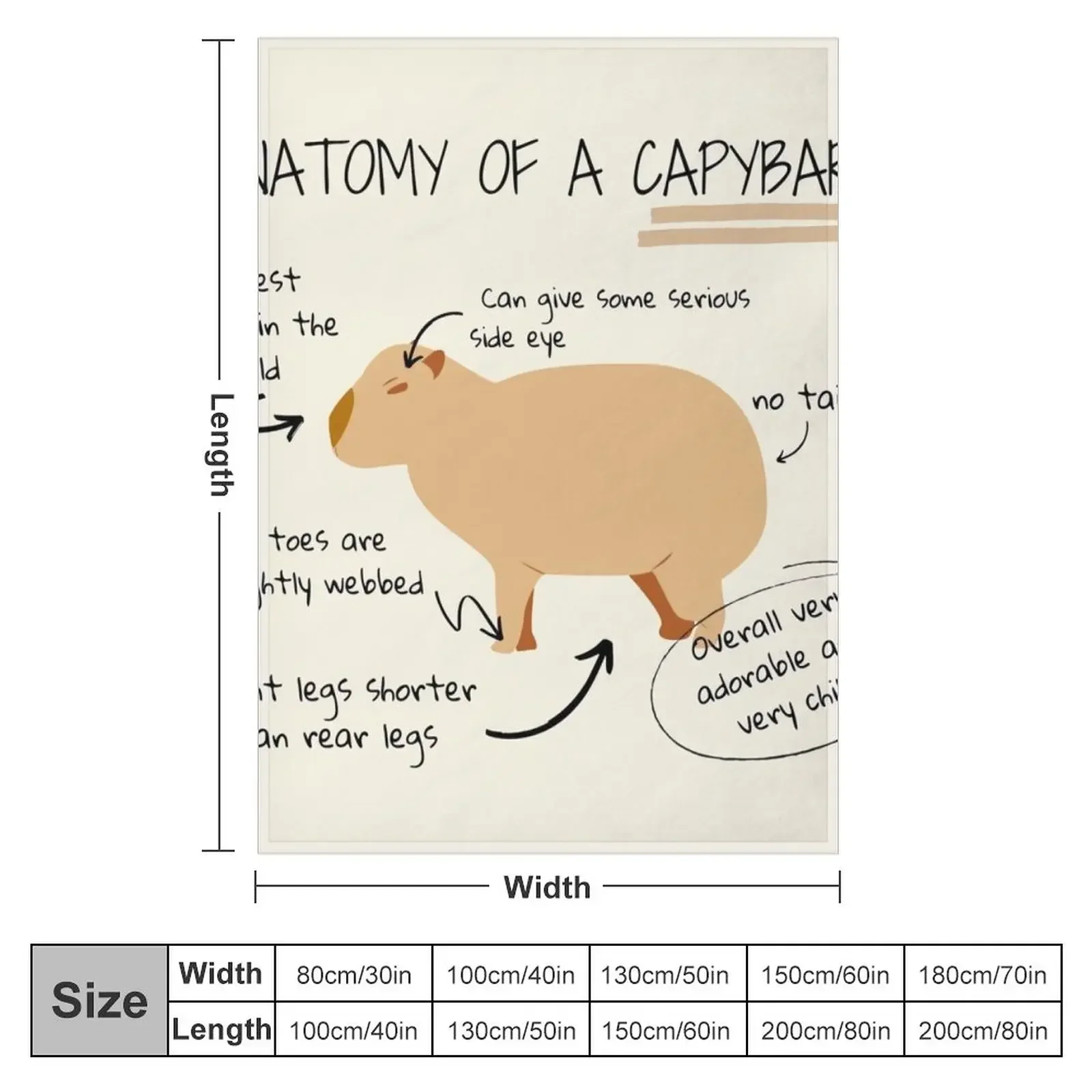 Capybara ��ô ����� �غ���, ���Ŀ� ���� ����, �ʴ��� ��ô ���