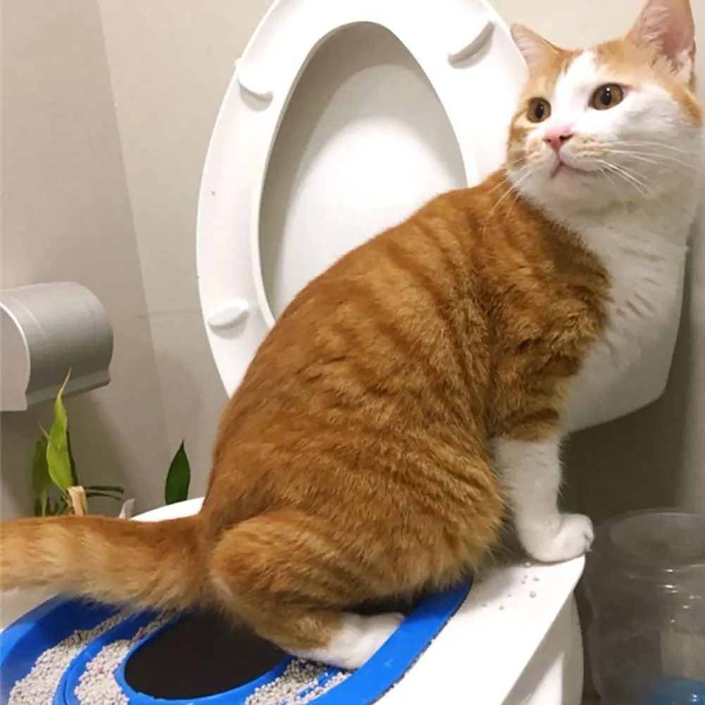Cat Toilet Training Kit Reusable Cat Toilet Trainer Puppy Litter Mat Pet Cleaning Teach to Use Trainer
