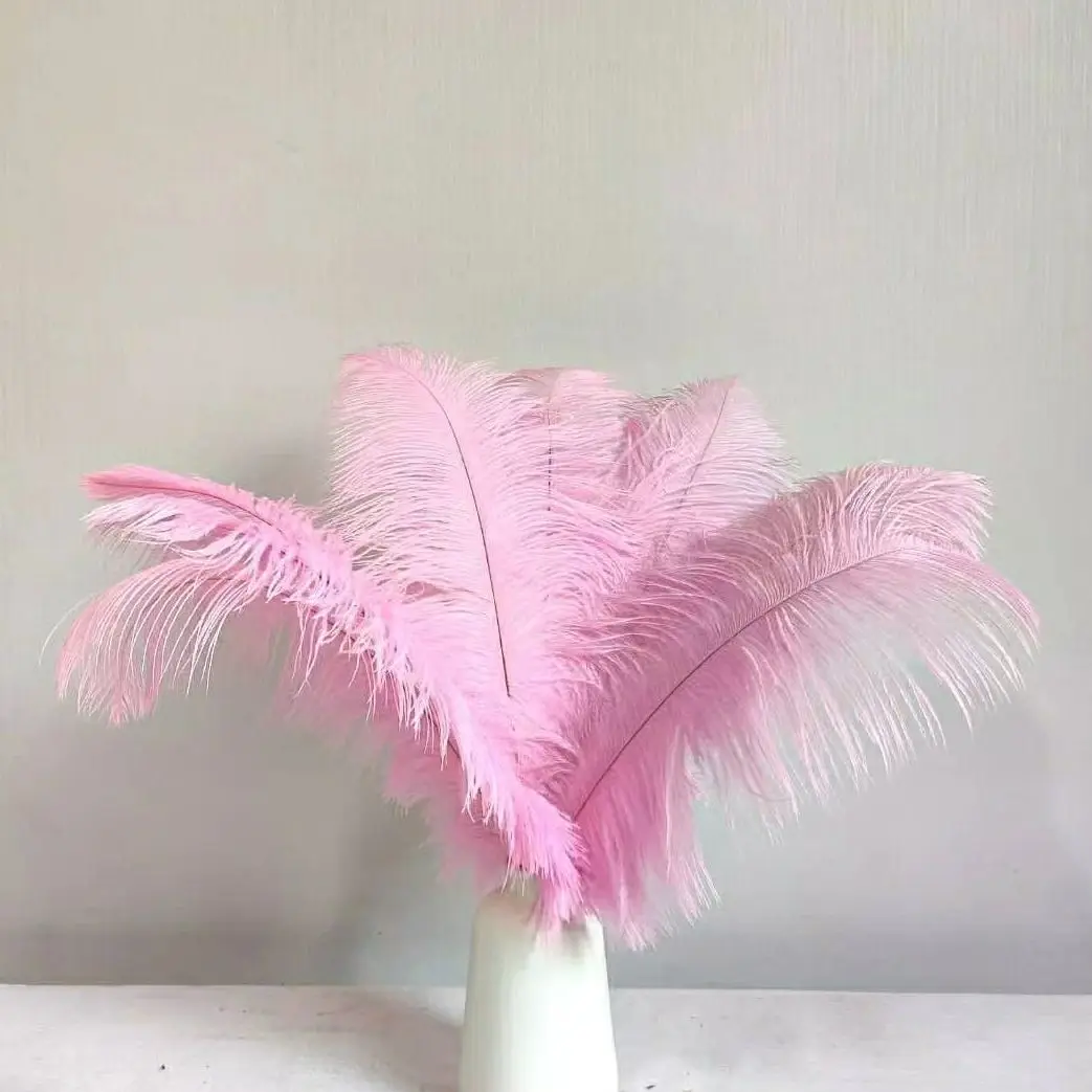 5pcs Natural ostrich feathers Decor 18-20inch/45-50cm Ostrich Feathers on  The Head Table Centerpieces Handicraft Accessories Decoration