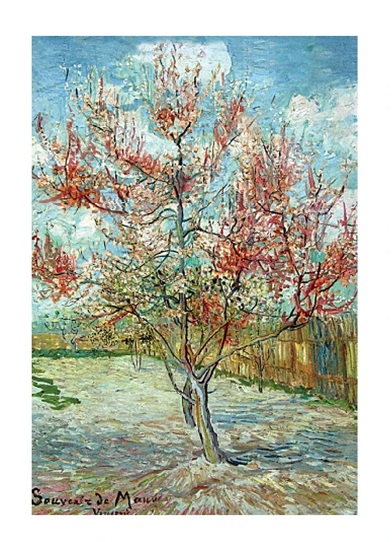 C-012 Blossom