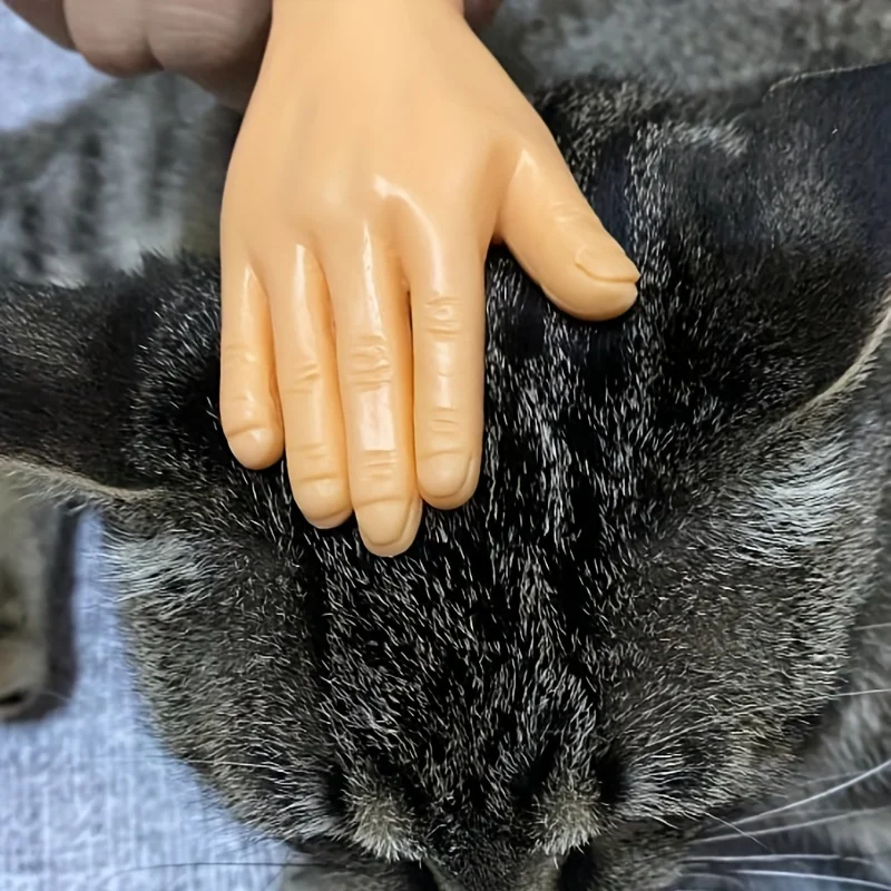 Toy Finger Teasing Cat High Elasticity Cat