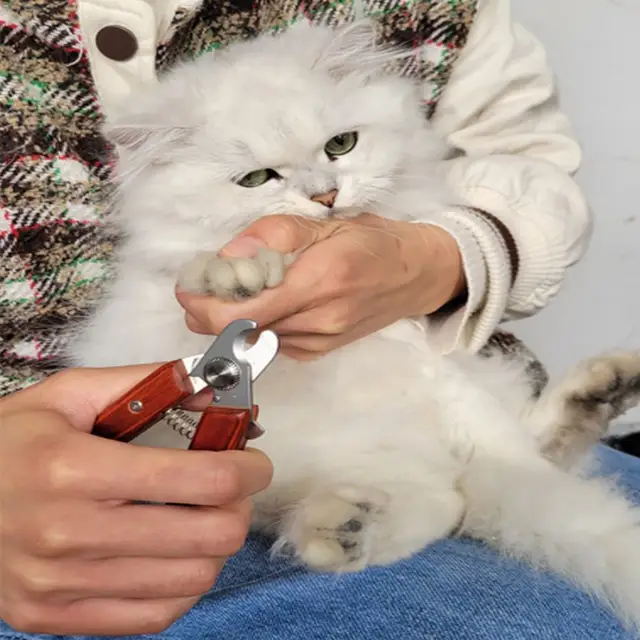 13cm New High-end Pet Nail Clippers Log Handle Pet Shop Special Cut Big Dog Super Sharp Cat Dog Nail Clippers 6