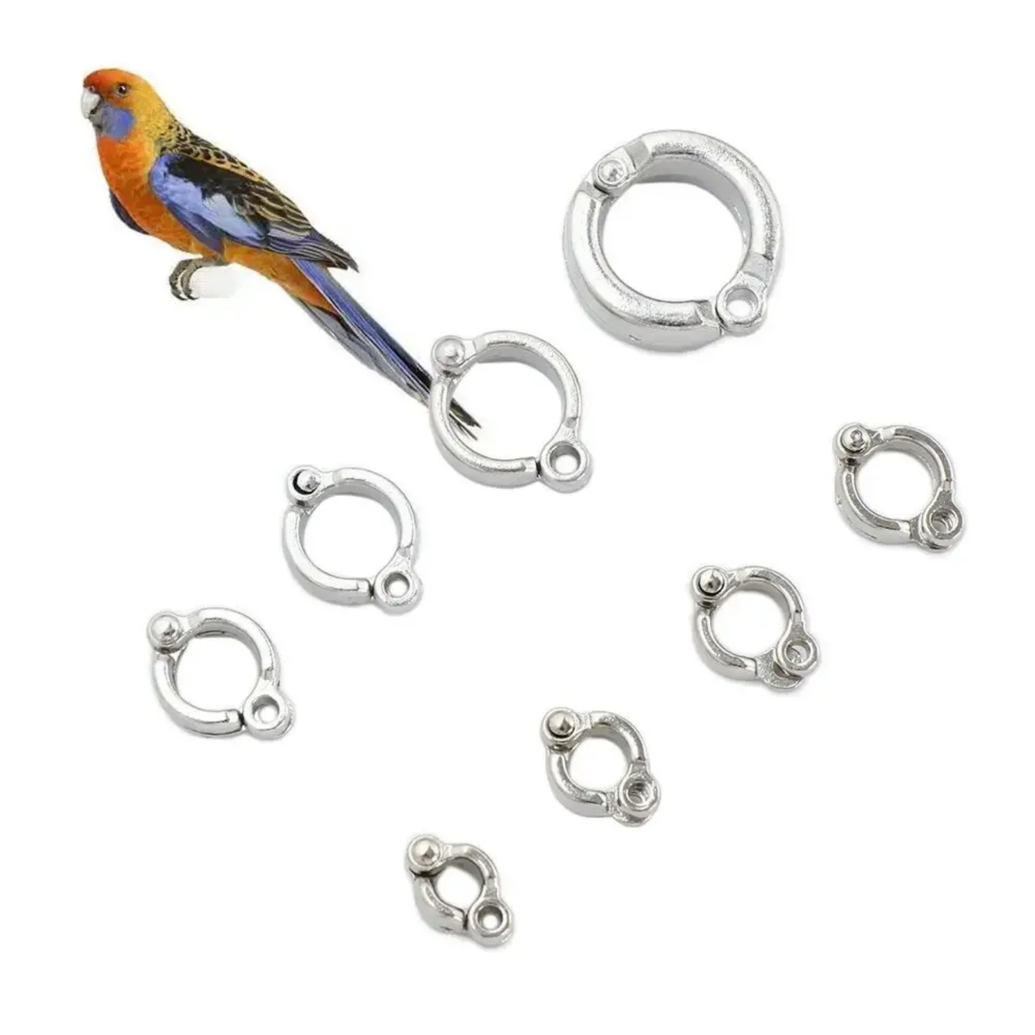 5er- oder 10er-Set Edelstahl-Vogelring mit Verschlussklemme, Papageien-Fußring für Trainingsleine, Anti-Flucht-Zubehör für alle Vögel – Detail 7