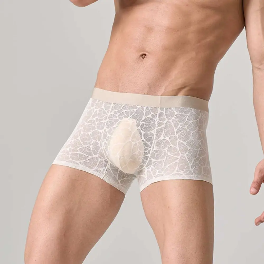 Men's Quick Dry Lace Mesh Boxer Briefs