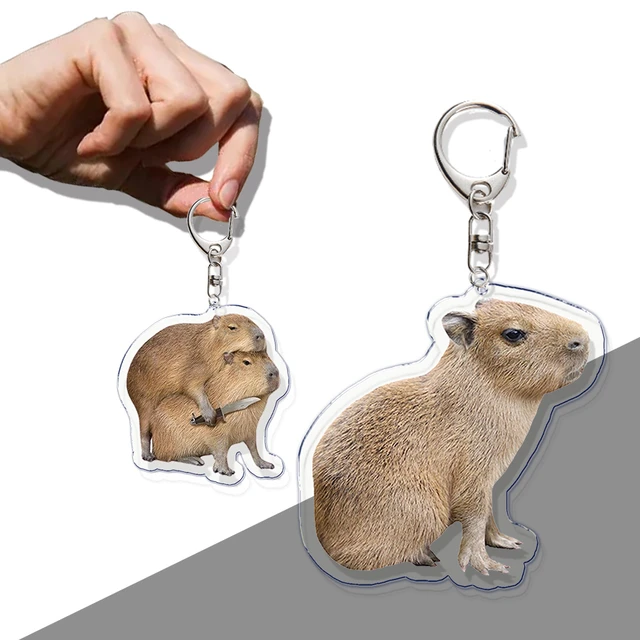 Capivara Aniversário Acrílico Chaveiro, Chaveiro Animal dos desenhos  animados, Capivaras Chaveiro Cadeias para Saco, Pingente Criativo,  Acessórios Presente - AliExpress