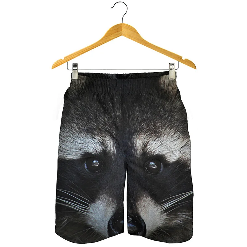 

Cartoon Raccoon Pattern Beach Shorts Men Kids 3d Print Animal Swim Trunks Streetwear Short Pants Summer Loose Surf Board Shorts