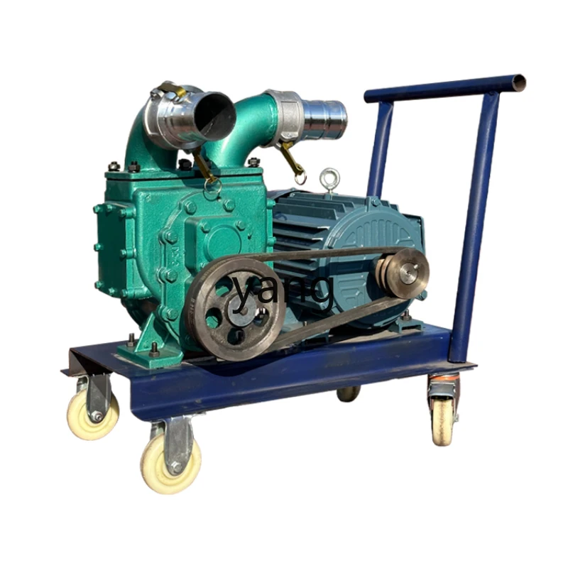 

LMM Powerful Manure Pump Self-Priming Self-Draining Manure Pump Sewage Pump