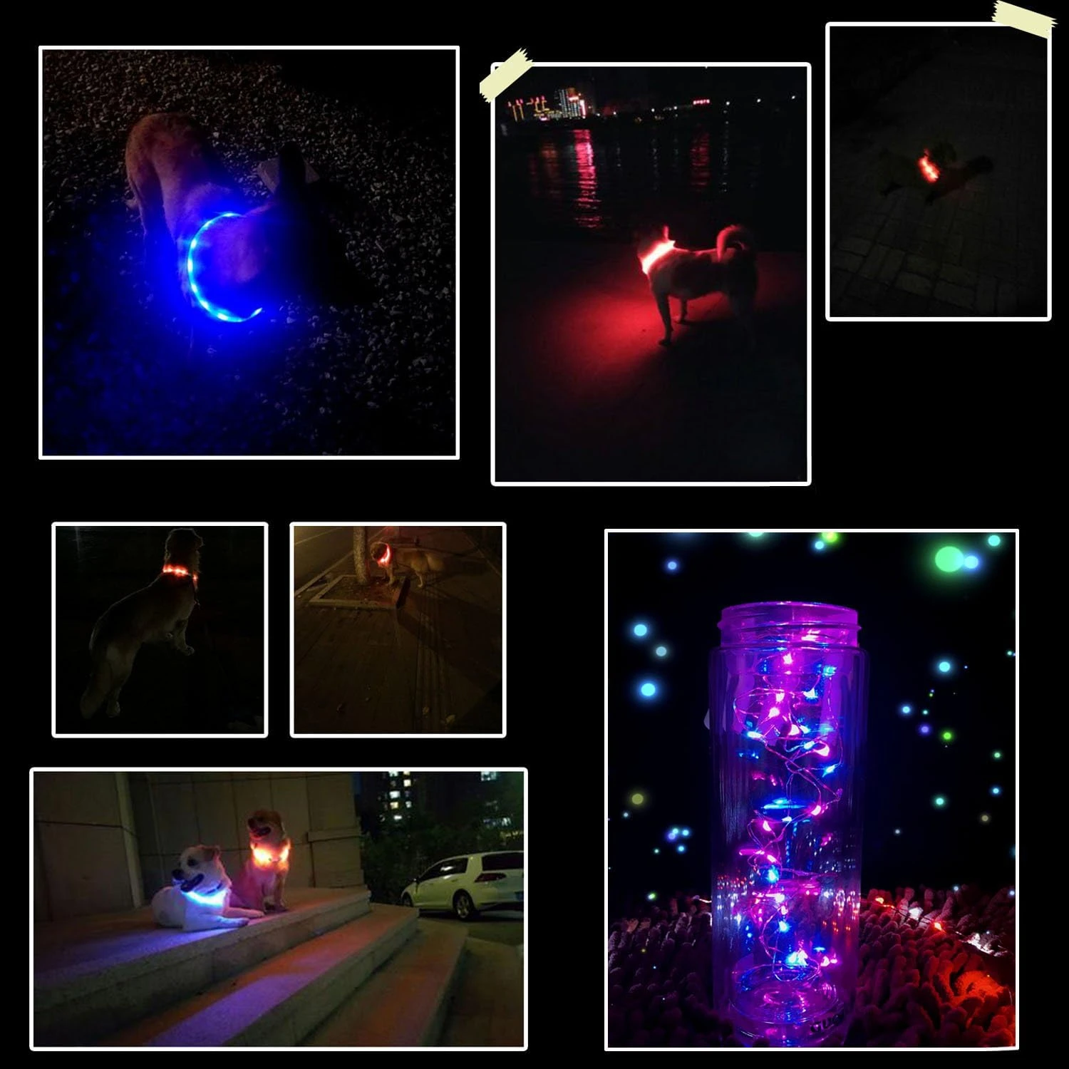 LISM LED Dog Collar Options
