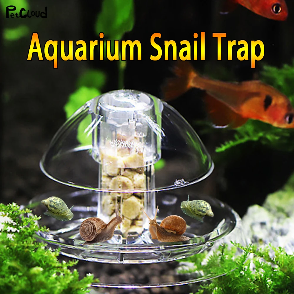 

Aquarium Snail Catcher Fish Tank Snail Trap Plants Planaria Pest Catch Box Fish Tank Leech Clean Tool Aquarium Cleaning PetCloud