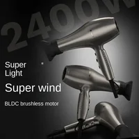 Professional Hair Dryer Hair Salon/Barber 2400W High Power Wind Negative Ions Hair Care Blow Dryer 3 Gears Styling Tools 2
