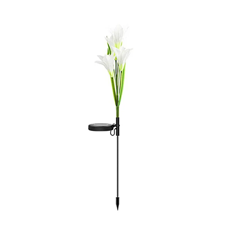 White Lily