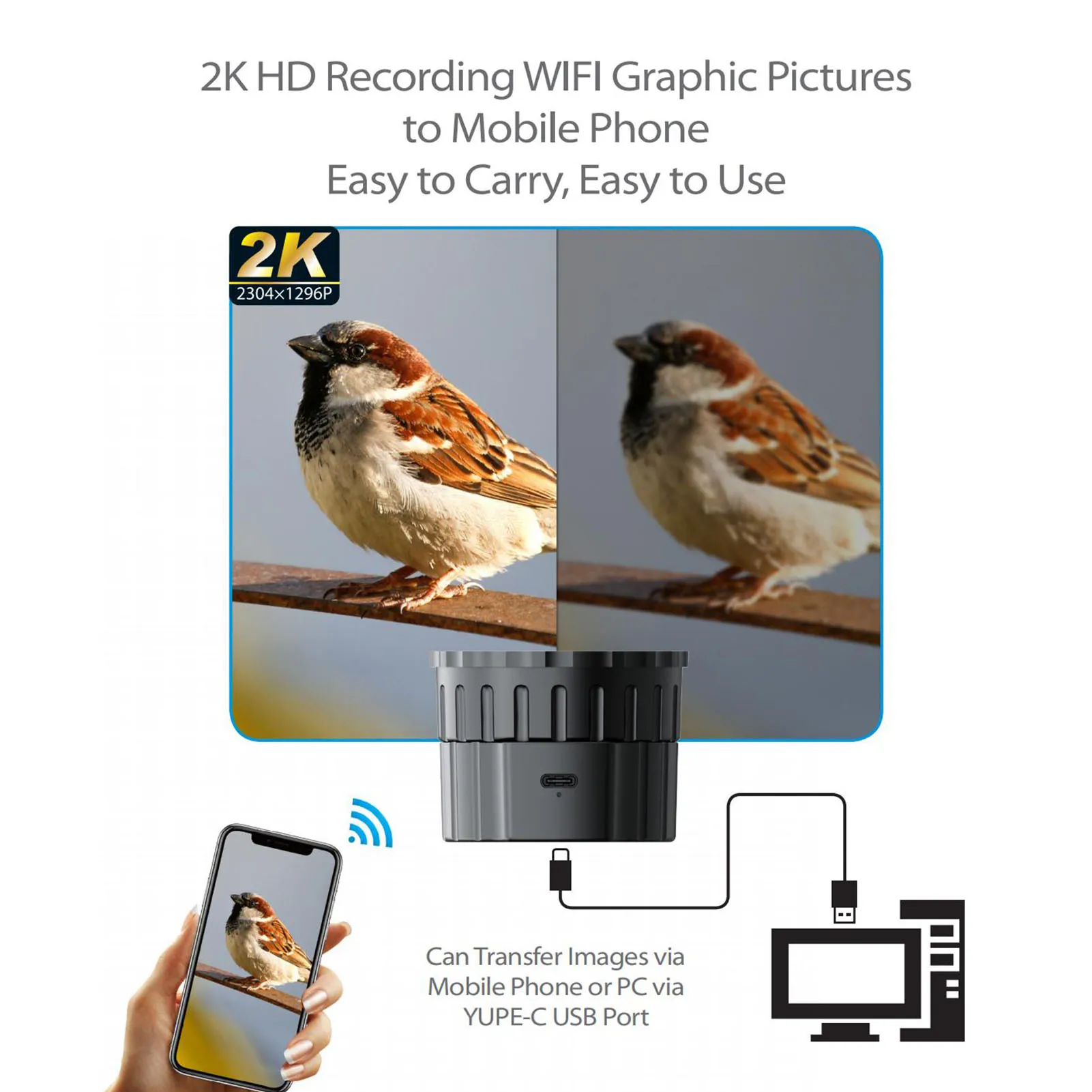 WiFi 무선 디지털 접안렌즈 4MP 2K 비디오 녹화 WiFi 앱 내장 1.18-1.97in 망원경용 전자 접안렌즈 카메라