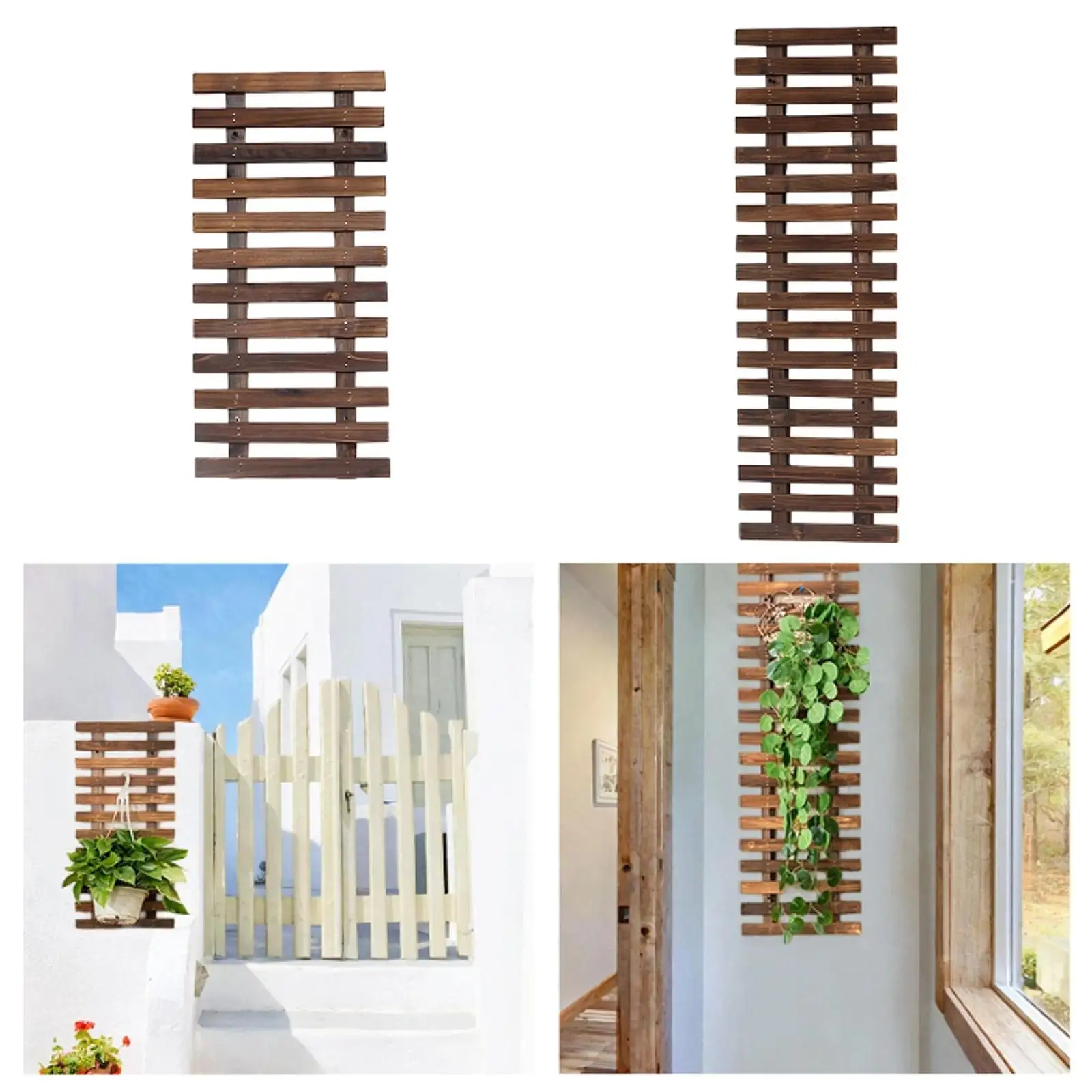 צמחייה תלויה מעץ לטיפוס צמחים על הקיר למרפסת גינה חצר