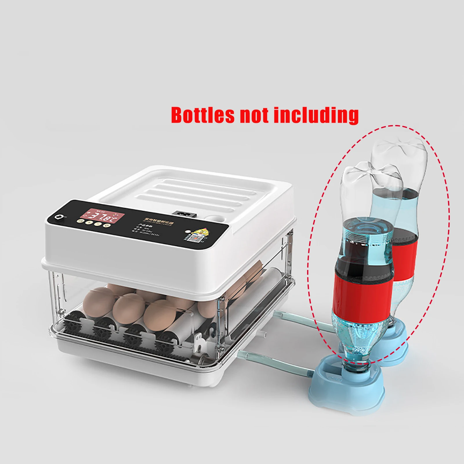 12 Egg Type EU Plug