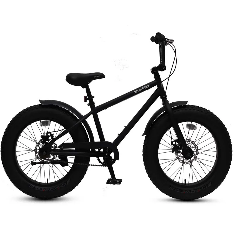 

20 Inch Fat Tire BMX Bicycle