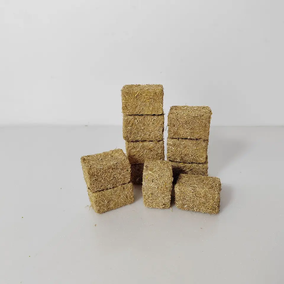 현실감 넘치는 DIY 조경 경험