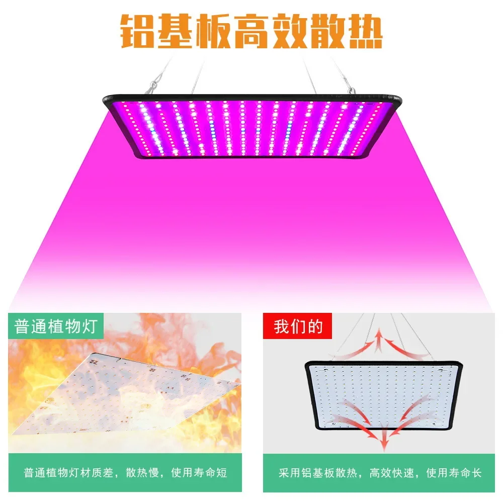 Indoor Plant Grow Light EU/AU/UK/US Plug Multiple Colors Available Latest Growing Lamps Led Full Spectrum Plant Bulb Greenhouse