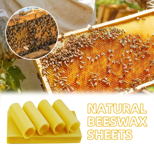 Beeswax Mushroom Candles : r/Beekeeping