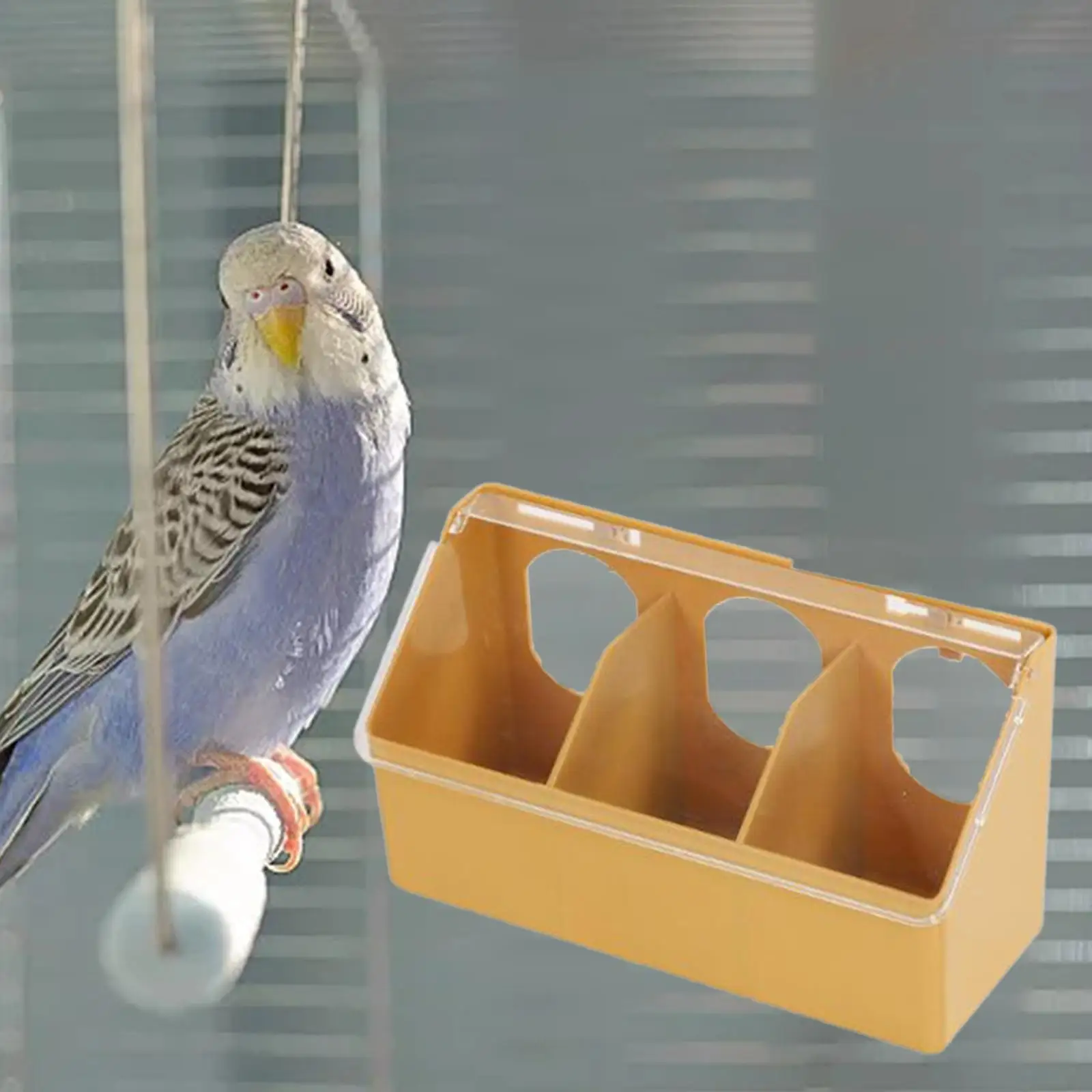 Pigeon Feeder Three Hole Hanging Cage Box for Bird Cage Breeding Pairing Parakeet