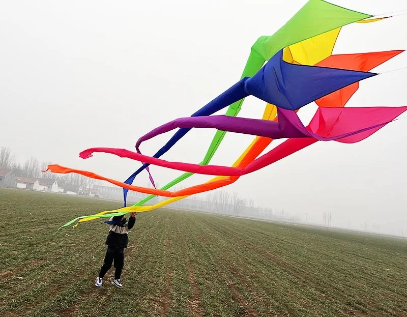 Free Shipping giant kites windsocks kites tails flying trilobites kites factory cometa inflatable toys cerf volant parafoil kite images - 6