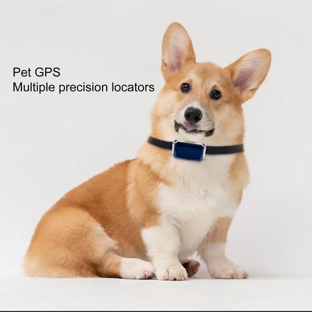 1 Set Cat Tracker Location History Pet Tracker Pet Dog Cat Location Activity Collar