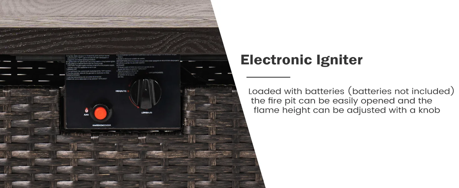 Electronic Ignitor