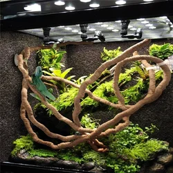 Large Flexible Rattan Vines for Terrarium Decor - Bendable Jungle Branches for Reptile Habitats