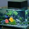 10PCS Artificial Ocean Tropical Fish Plastic Small Fake Tropical Fish Vivid Simulated Floating Fishes Fish Tank Decorations 6