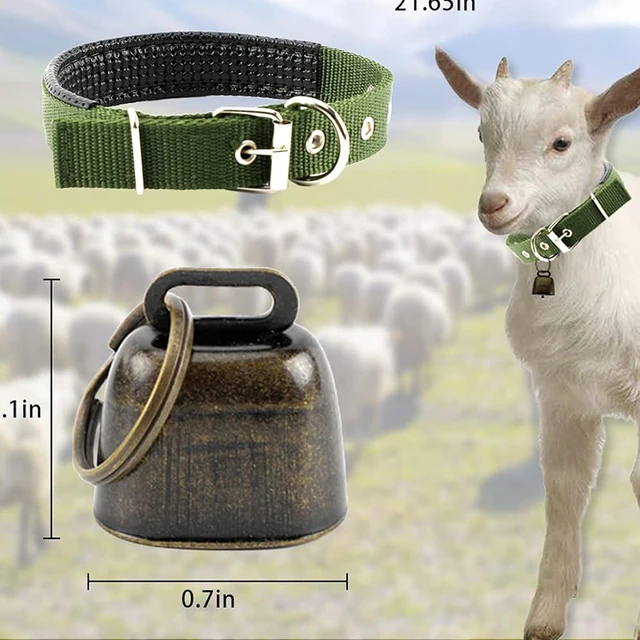3 Pack Goat Collar with Bell Grazing Copper Bells and Adjustable Nylon Collar Set for Small Farm Animal Sheep Cow Pet Goat green 2