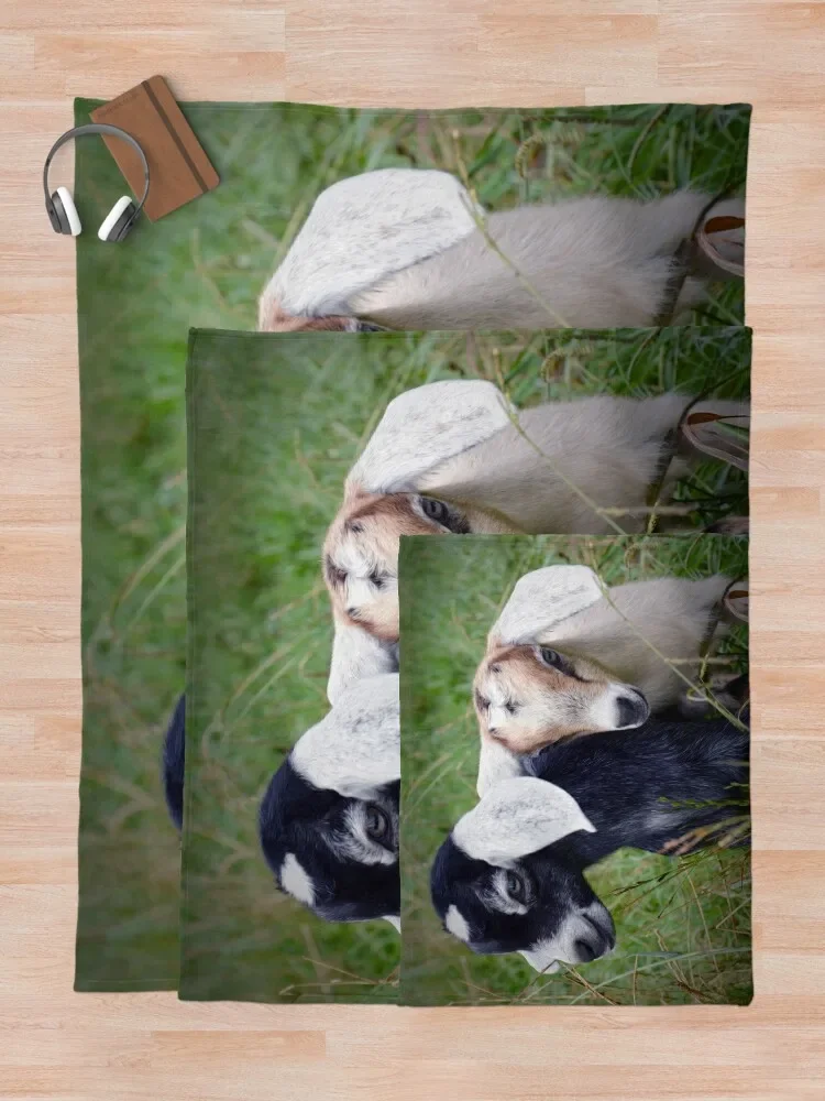 �� �ε巯�� ���� ���� ���,  ���� ������ ���, ���� ������