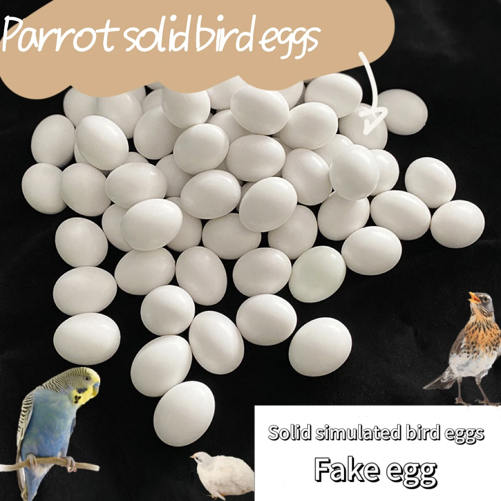 Bird Eggs Fake Pigeon Parrot Quail Eggs Bird Farming Tools Plastic Nests Hatch
