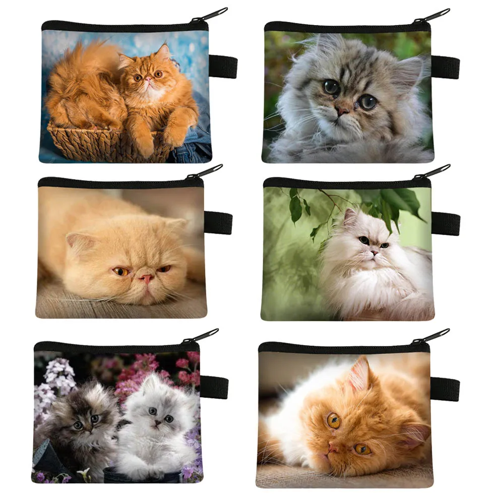 Cute Animal  Persian Cat Print Coin Purse Women Pet Pattern ID Credit Card Earphones Coin Bags Zipper Pouch Money Storage Bag