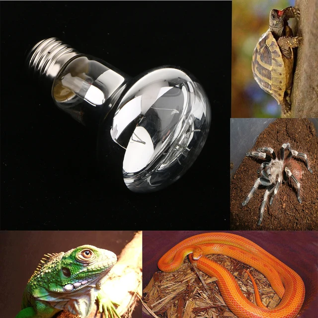 Reptile Vivarium Terrarium Lamp Snake Turtle Heating Light Bulb E27 UVA 4