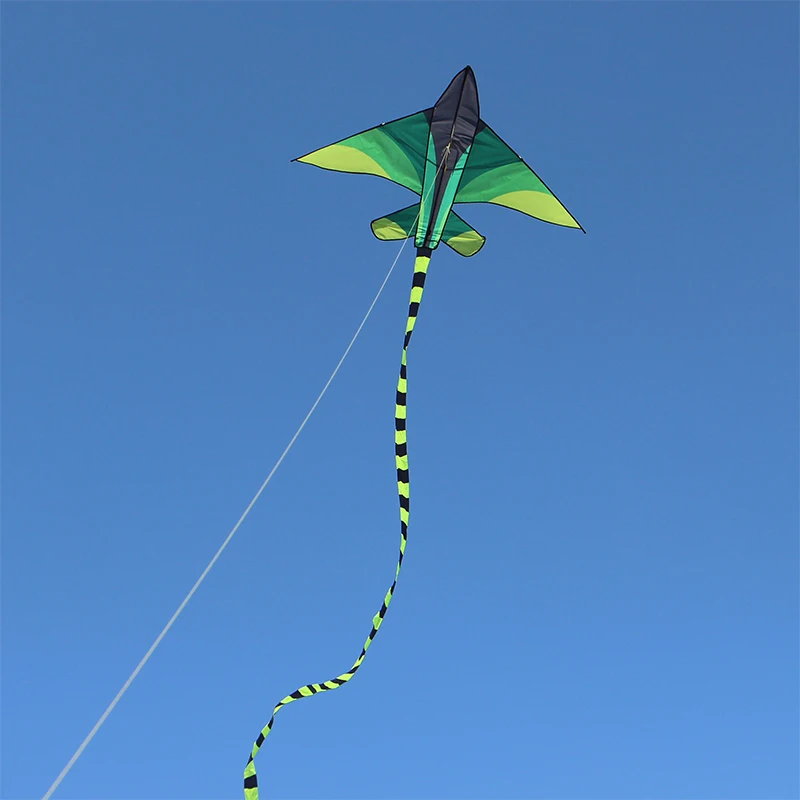 Frete Grátis Grande Avião Pipa Voando Brinquedos Crianças Linha De Corda De  Pipa Falcon Kite Surf Conjunto Balão Praia Ao Ar Livre Jogos Fábrica De  Pipa - Pipas E Acessórios - AliExpress