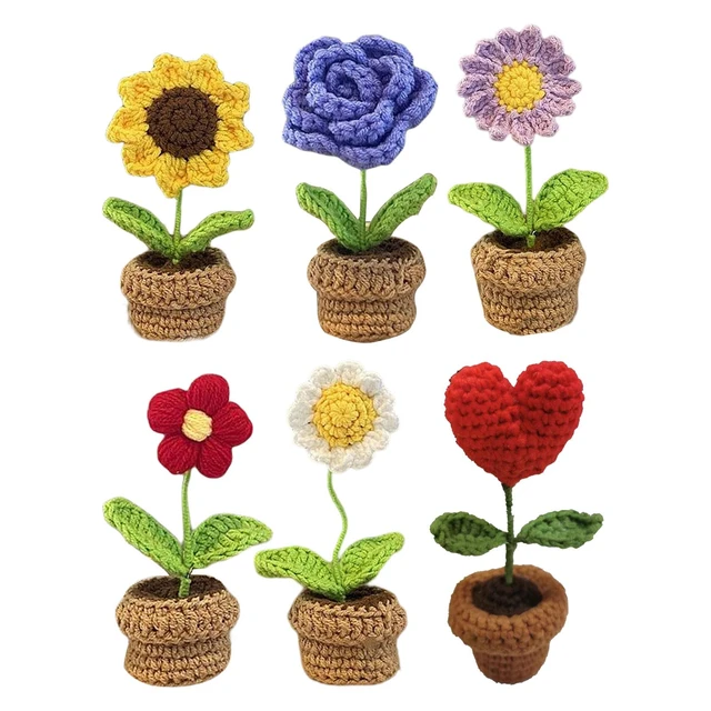 Kit de ganchillo para principiantes, plantas en maceta, flores, kit de  inicio de ganchillo para adultos y niños, kit de tejido fácil de crochetear  con